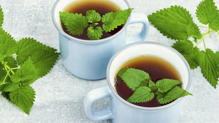 Tee Rückruf aktuell: Warnung vor Schadstoffen Tee Rückruf aktuell